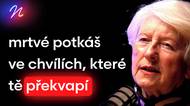 Mrtvé potkáš ve chvílích, které tě překvapí. Všechny strachy najednou zmizí, říká Anna Hogenová